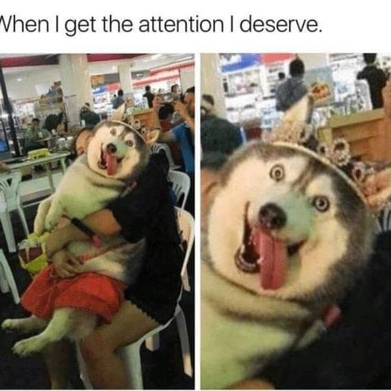 hen get the attention deserve T 0