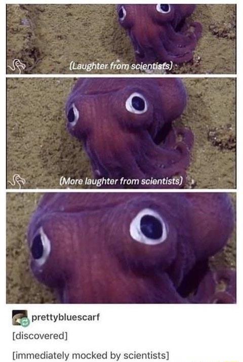 NS Laughter from soieptists O More laughter from scientists E prettybluescarf discovered immediately mocked by scientists