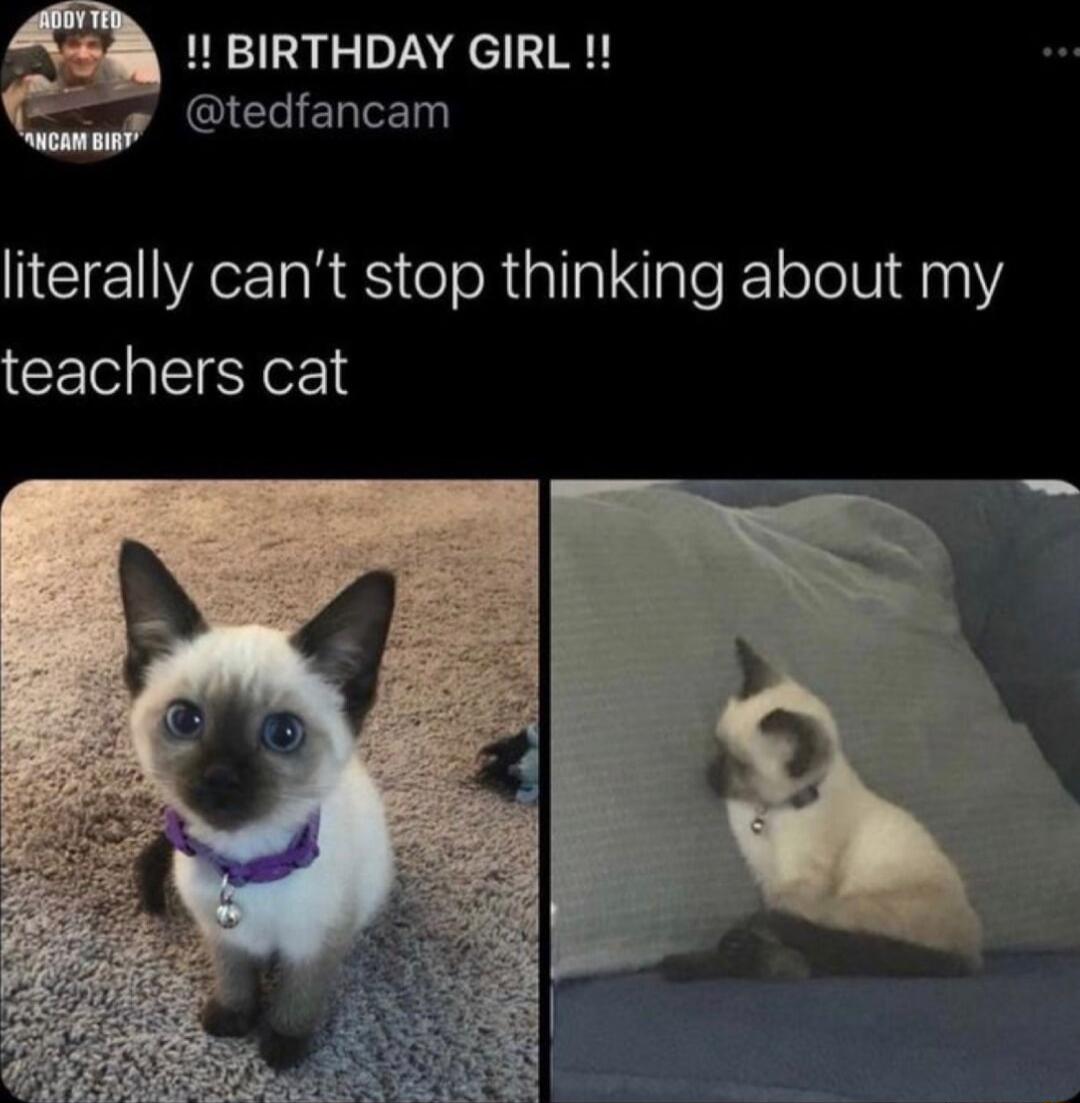 1 BIRTHDAY GIRL EEIEL literally cant stop thinking about my