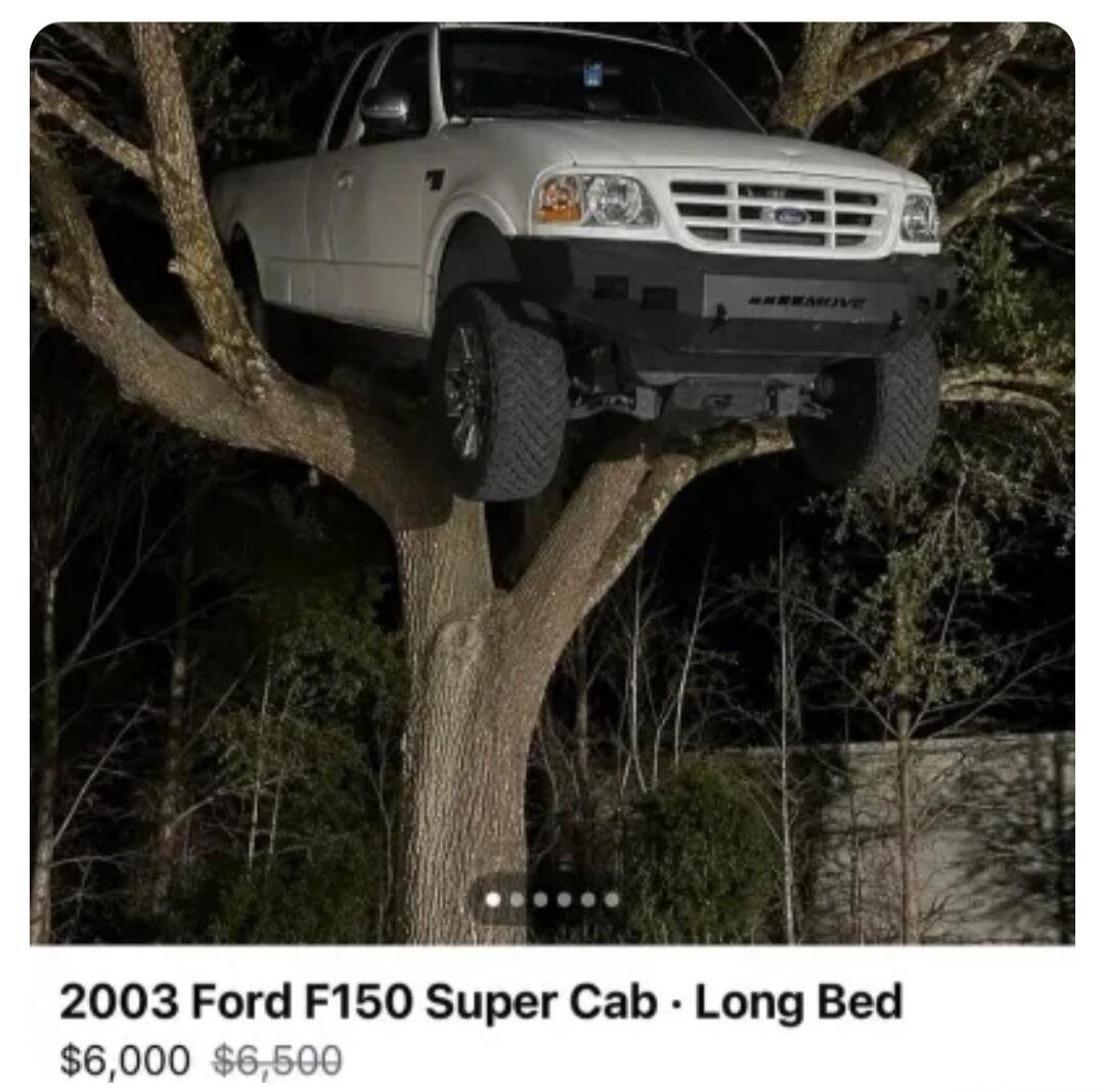 2003 Ford F150 Super Cab - Long Bed. Price: $6,000 (originally $6,500). A white Ford F-150 pickup truck is shown stuck high up in the branches of a large tree at night.