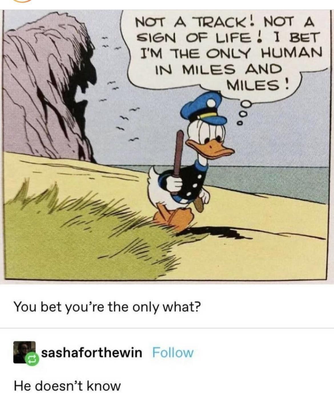 NOT A TRACK NOT A SIeN OF LIFE 1 BET IM THE ONLY HUMAN IN MILES AND MILES YYou bet youre the only what sashaforthewin Follow He doesnt know