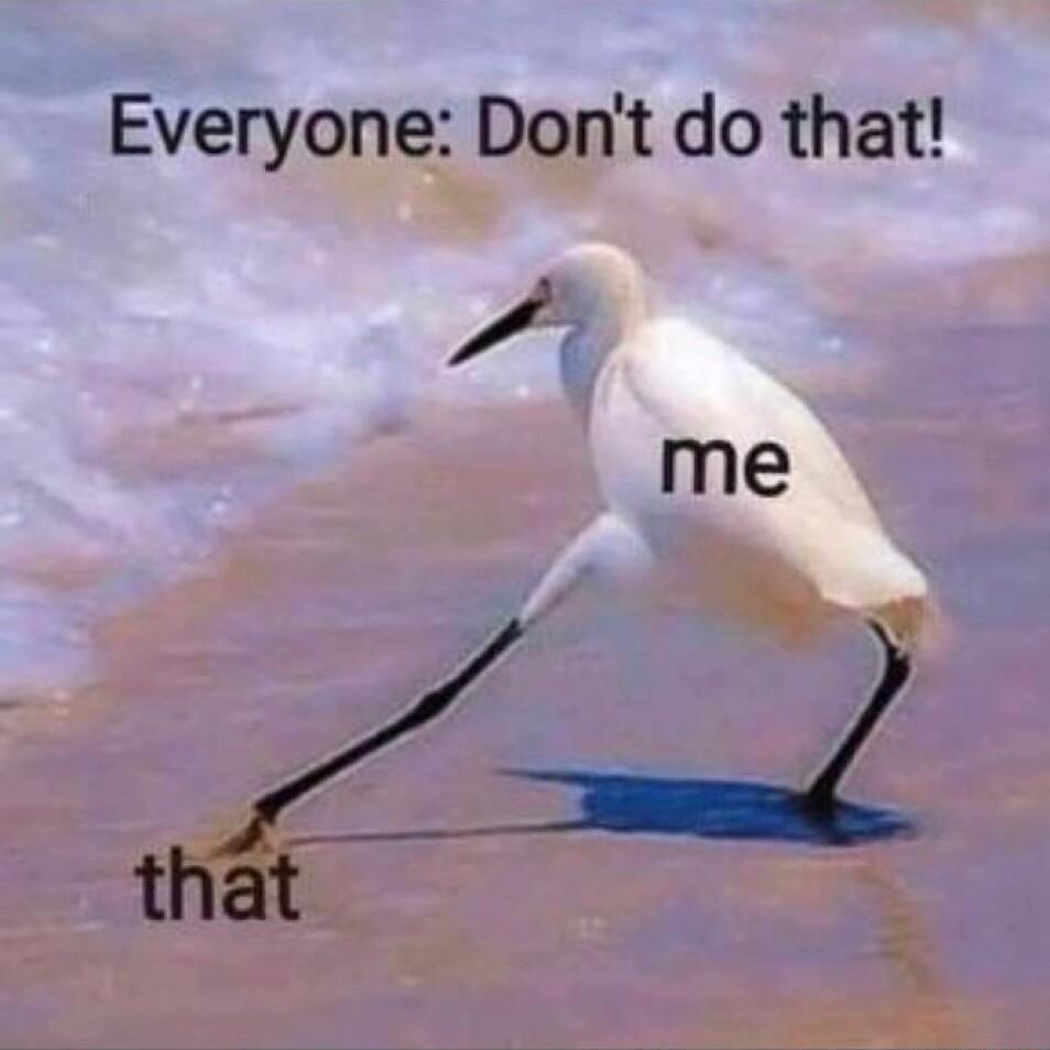Everyone Dont do that me that