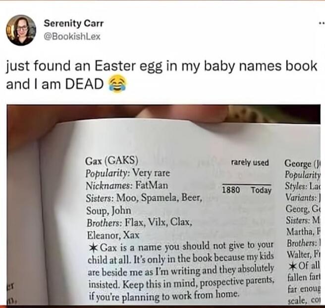 Serenity Carr @BookishLex: just found an Easter egg in my baby names book and I am DEAD 😂

Gax (GAKS)
Popularity: Very rare
Nicknames: FatMan
Sisters: Moo, Spamela, Beer, Soup, John
Brothers: Flax, Vilx, Clax, Eleanor, Xax
★ Gax is a name you should not give to your child at all. It's only in the book because my kids are beside me as I'm writing an