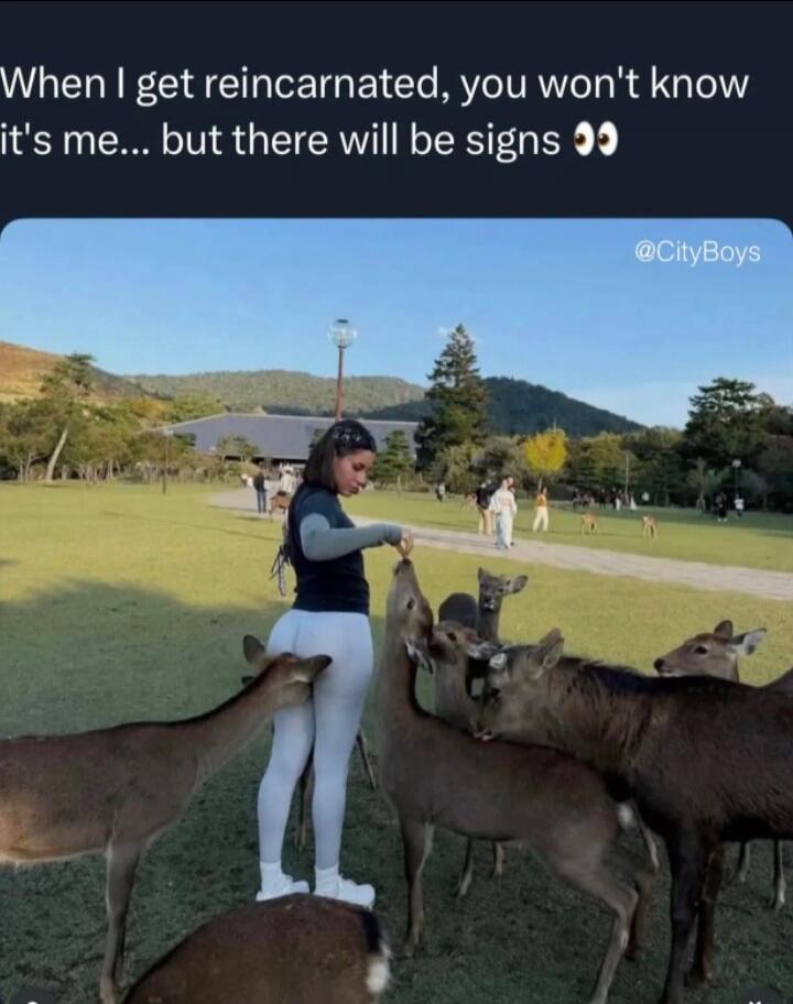 When I get reincarnated, you won't know it's me... but there will be signs 👀 @CityBoys