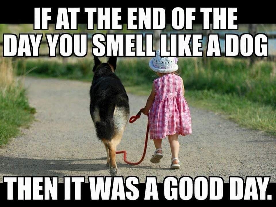 IF AT THE END OF THE DAY YOU SMELL LIKE A DOG THEN IT WAS A GOOD DAY.