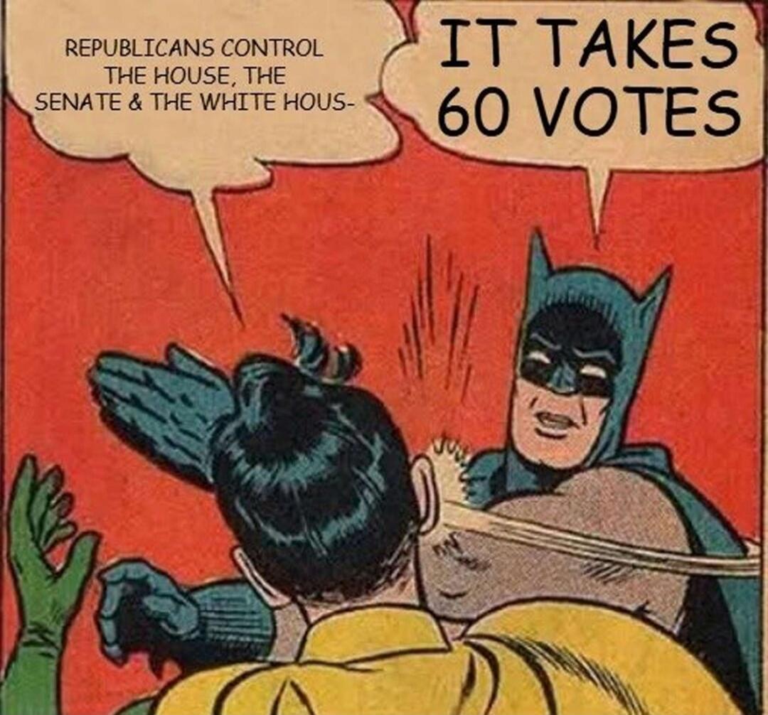 REPUBLICANS CONTROL THE HOUSE, THE SENATE & THE WHITE HOUS... IT TAKES 60 VOTES