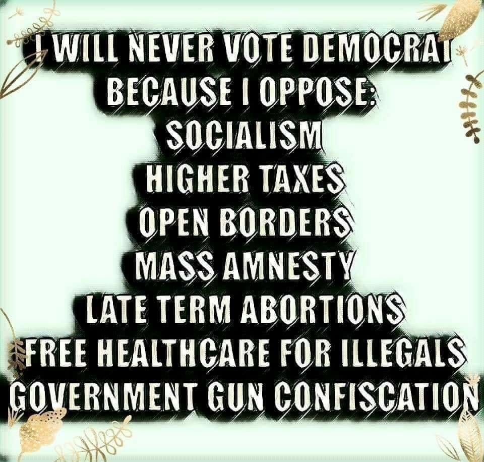 SOCIALISM HIGHER TAXES OPEN BORDERS MASS AMNESTY S LATE TERM ABORTIONS FREE HEALTHCARE FOR ILLEGALS GOVERNMENT GUN counscmm