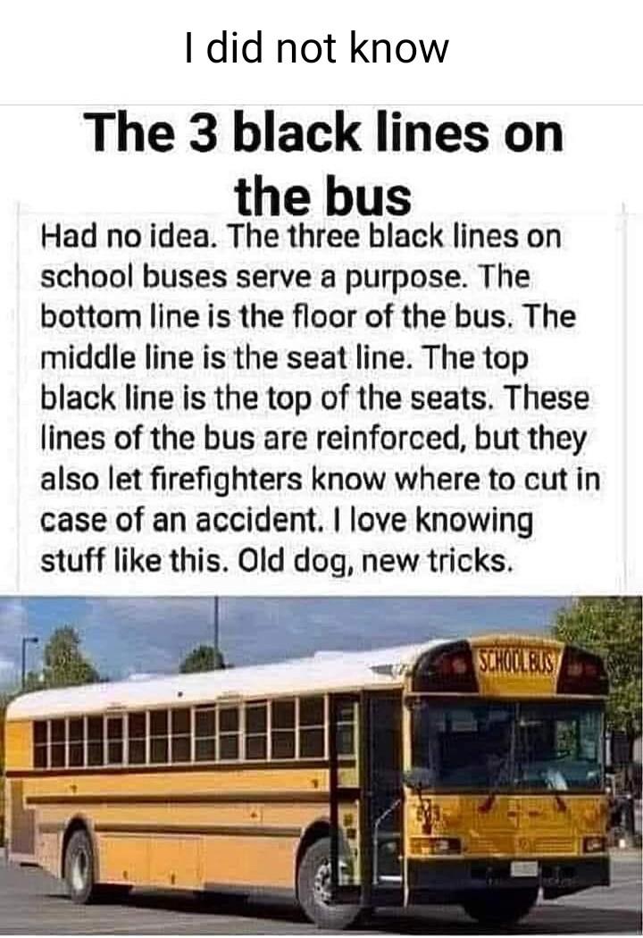 did not know The 3 black lines on the bus Had no idea The three black lines on school buses serve a purpose The bottom line is the floor of the bus The middle line is the seat line The top black line is the top of the seats These lines of the bus are reinforced but they also let firefighters know where to cut in case of an accident love knowing stuff like this Old dog new tricks
