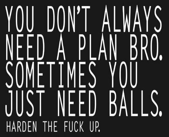 YOU DON'T ALWAYS NEED A PLAN BRO. SOMETIMES YOU JUST NEED BALLS. HARDEN THE FUCK UP.