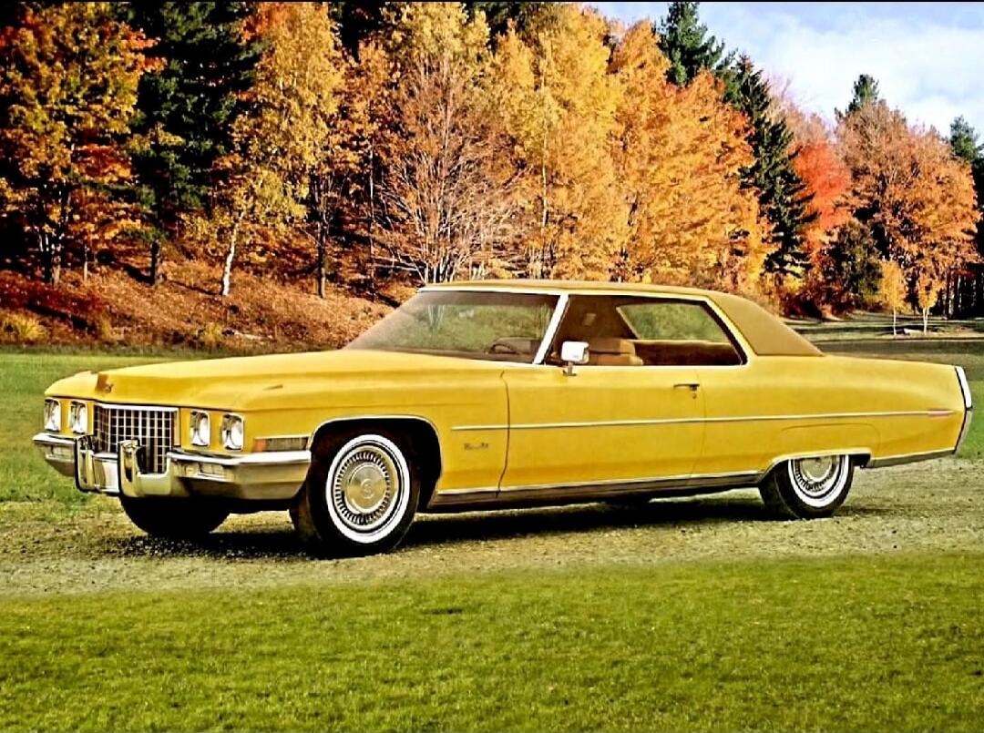 A vintage yellow car parked on green grass with autumn trees in the background.