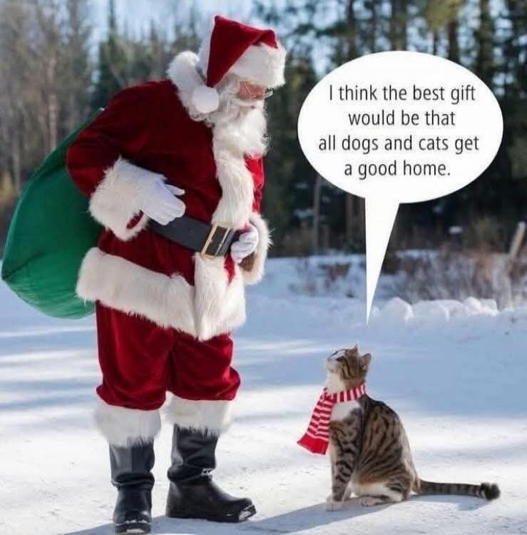 I think the best gift would be that all dogs and cats get a good home.