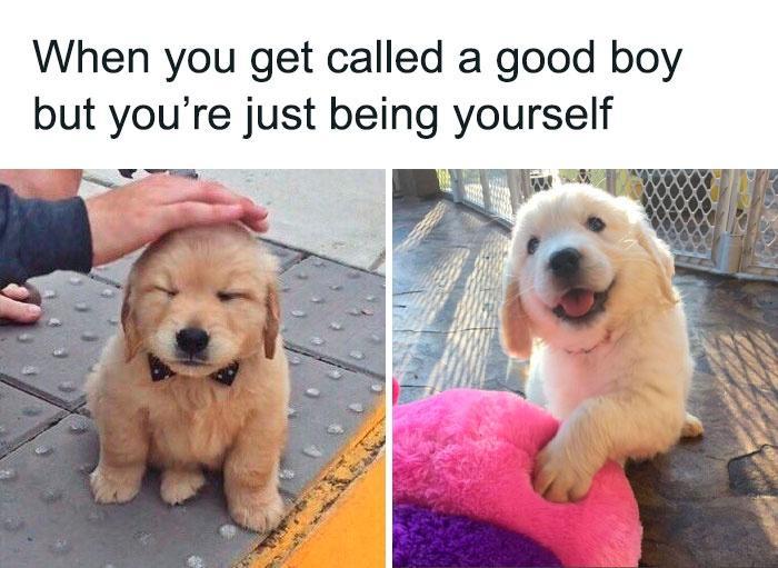 u get called a good boy but youre just being yourself