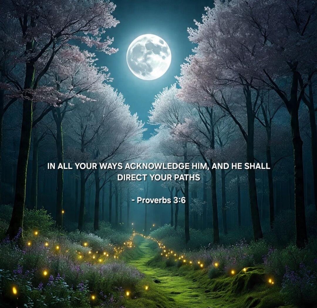 IN ALL YOUR WAYS ACKNOWLEDGE HIM, AND HE SHALL DIRECT YOUR PATHS - Proverbs 3:6