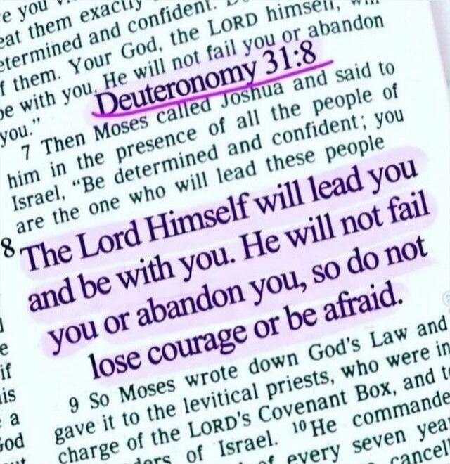 Deuteronomy 31:8 The Lord Himself will lead you and be with you. He will not fail you or abandon you, so do not lose courage or be afraid.