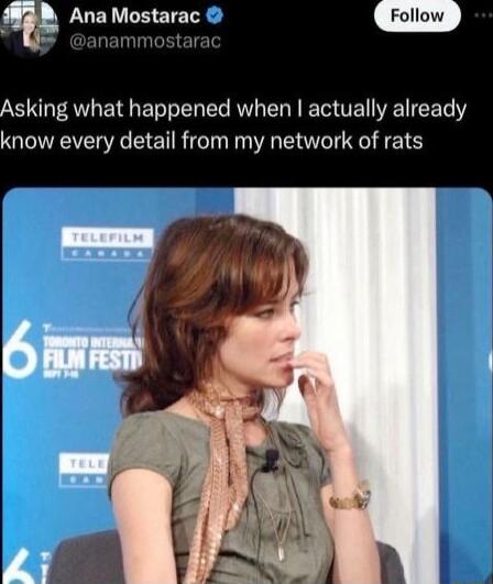 Ana Mostarac m Asking what happened when actually already know every detail from my network of rats