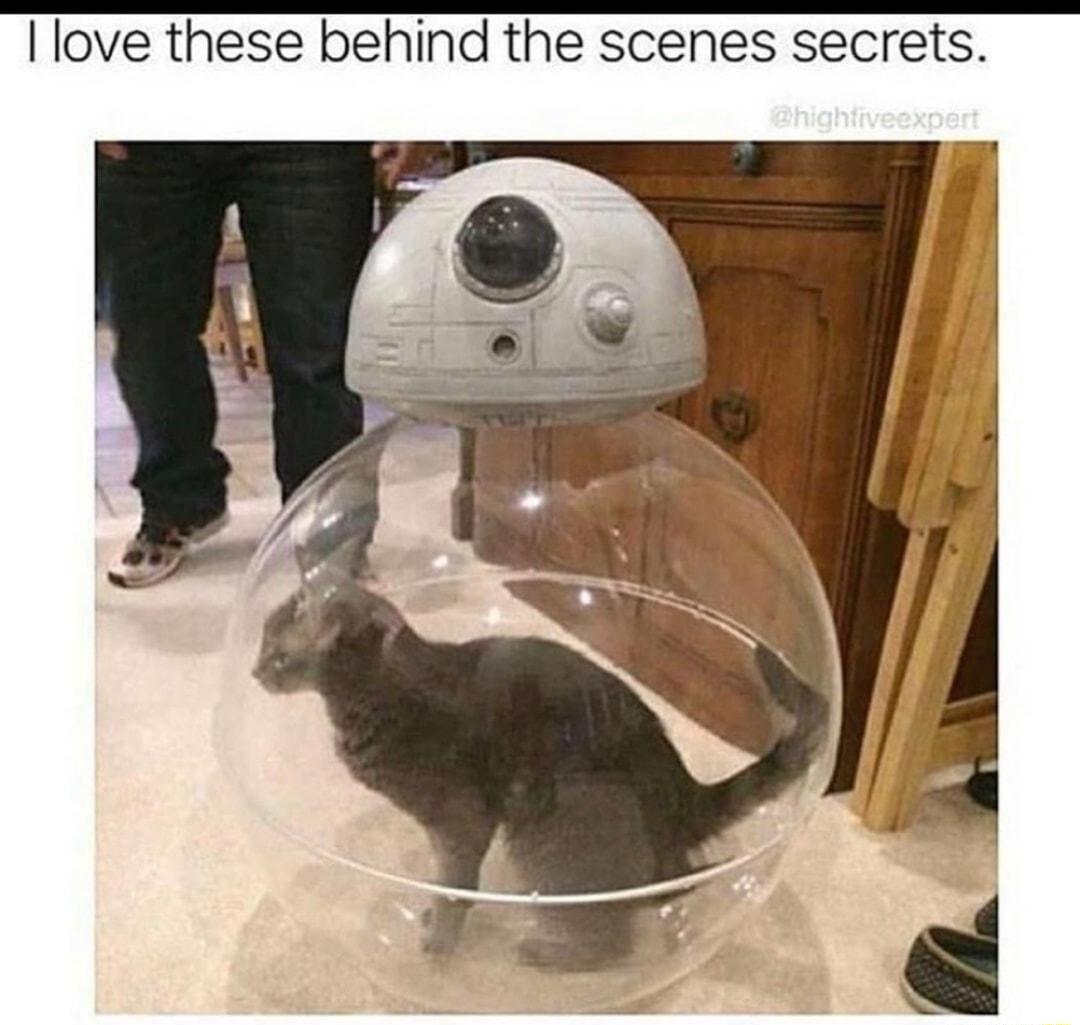 Ilove these behind the scenes secrets