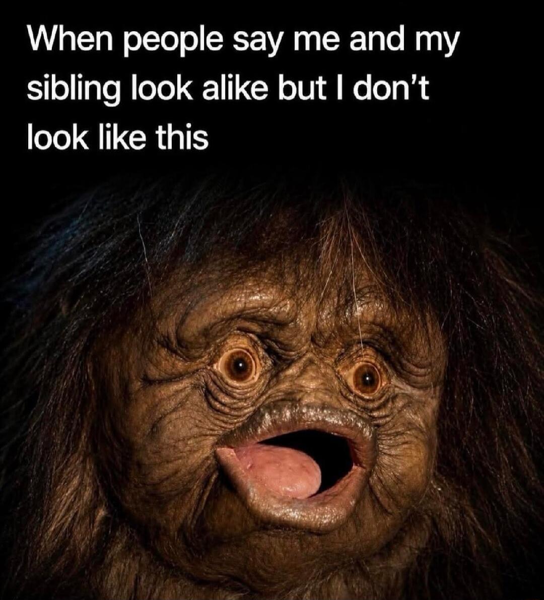 When people say me and my sibling look alike but I don't look like this