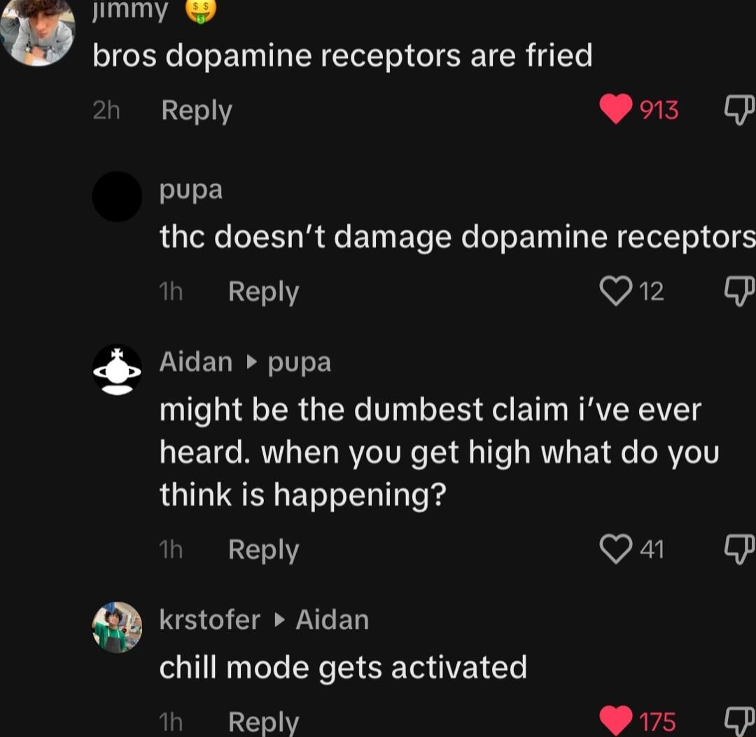 oy bros dopamine receptors are fried Reply L S pupa LG TR T R R T T TR T oL T R TWTI o Reply Q12 P Aidan pupa might be the dumbest claim ive ever heard when you get high what do you think is happening Reply Qa cp krstofer Aidan chill mode gets activated h Reply Y5 P