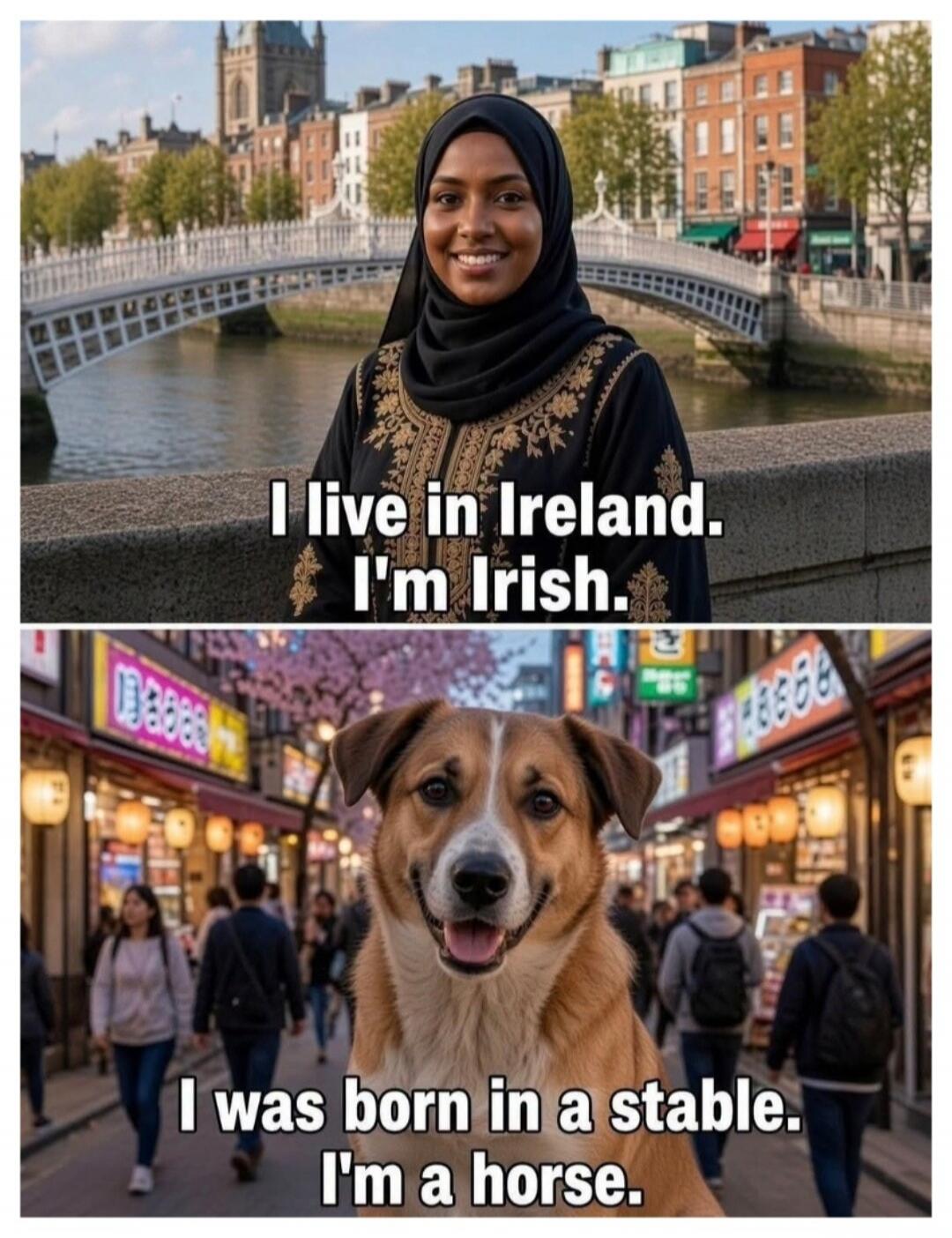 I live in Ireland. I'm Irish. I was born in a stable. I'm a horse.