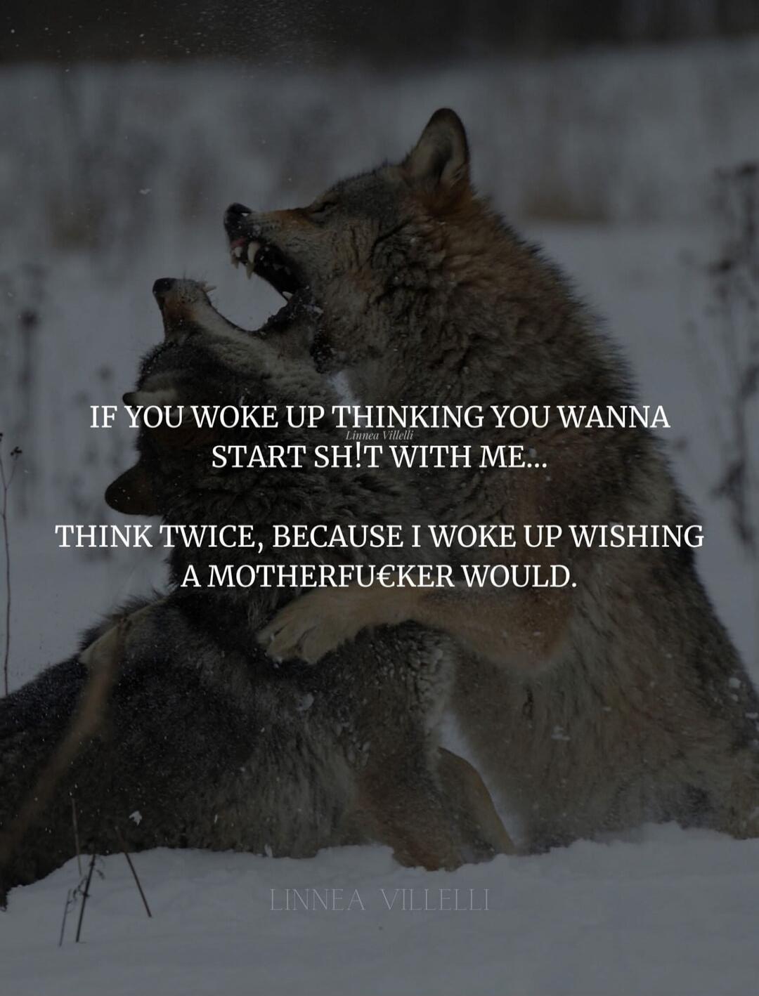 IF YOU WOKE UP THINKING YOU WANNA START SHIT WITH ME... THINK TWICE, BECAUSE I WOKE UP WISHING A MOTHERFUCKER WOULD.