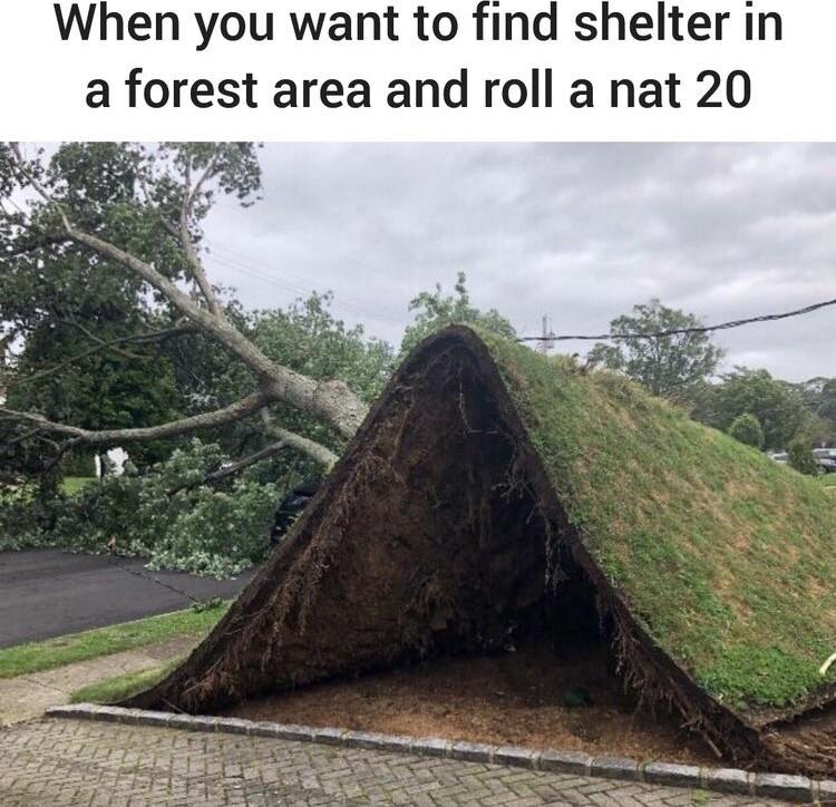 When you want to find shelter in a forest area and roll a nat 20