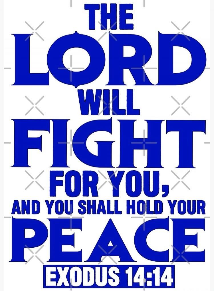 THE LORD WILL FIGHT FOR YOU, AND YOU SHALL HOLD YOUR PEACE EXODUS 14:14
