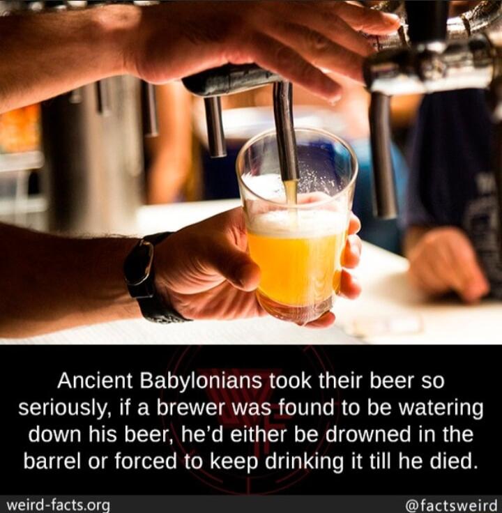 Ancient Babylonians took their beer so seriously if a brewer was found to be watering down his beer hed either be drowned in the barrel or forced to keep drinking it till he died weird factsorg factsweird