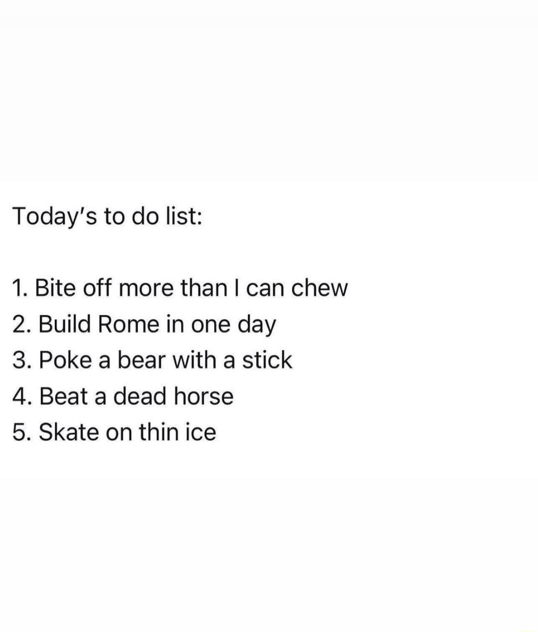 Today's to do list: 1. Bite off more than I can chew 2. Build Rome in one day 3. Poke a bear with a stick 4. Beat a dead horse 5. Skate on thin ice