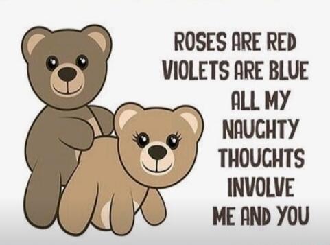 ROSES ARE RED VIOLETS ARE BLUE ALL MY NAUGHTY THOUGHTS INVOLVE ME AND YOU