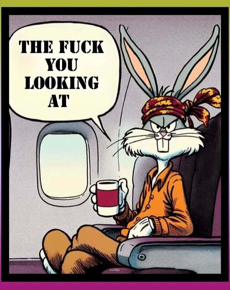 THE FUCK YOU LOOKING AT