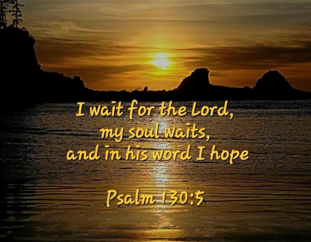 I wait for the Lord, my soul waits, and in his word I hope
Psalm 130:5
