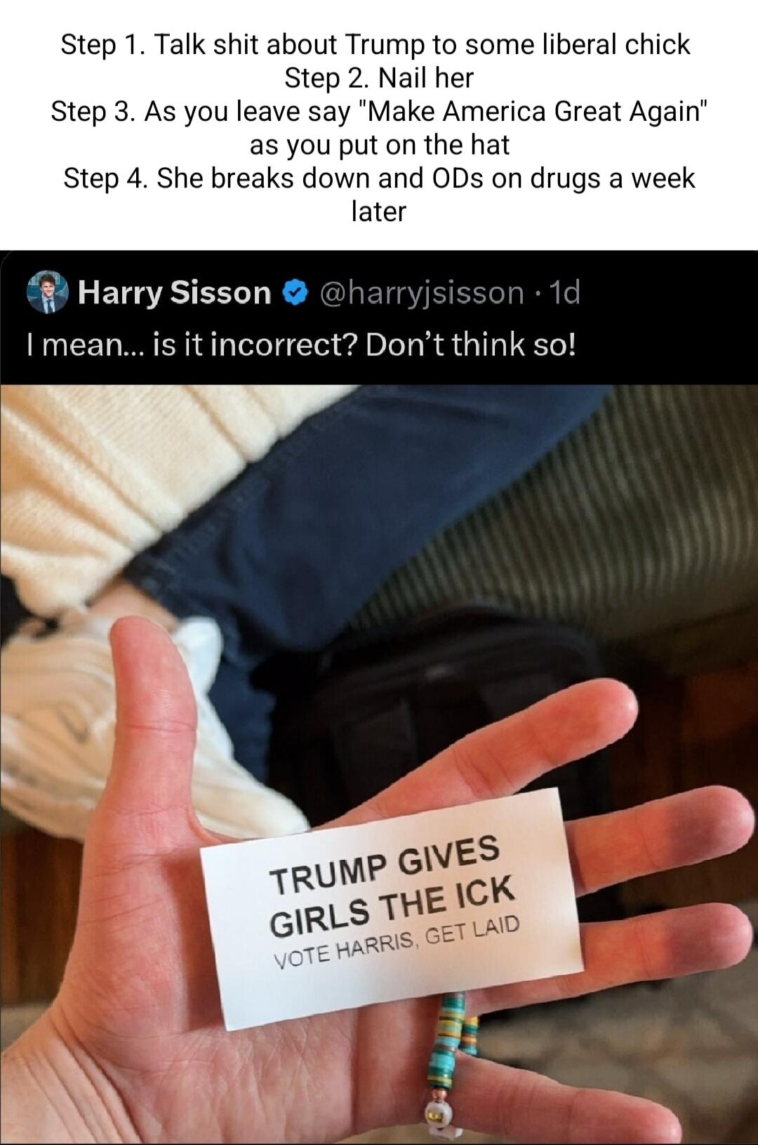 Step 1 Talk shit about Trump to some liberal chick Step 2 Nail her Step 3 As you leave say Make America Great Again as you put on the hat Step 4 She breaks down and ODs on drugs a week later g GEGASER R r I mean is itincorrect Dont think so