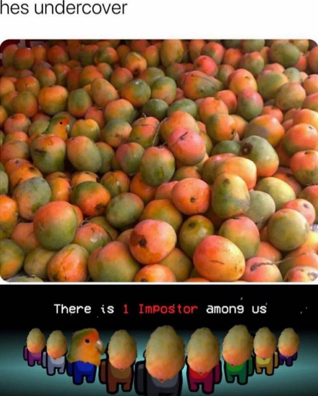 es unaercover ol 4 Diw s 27 s 1 e L There is ELLLERVE