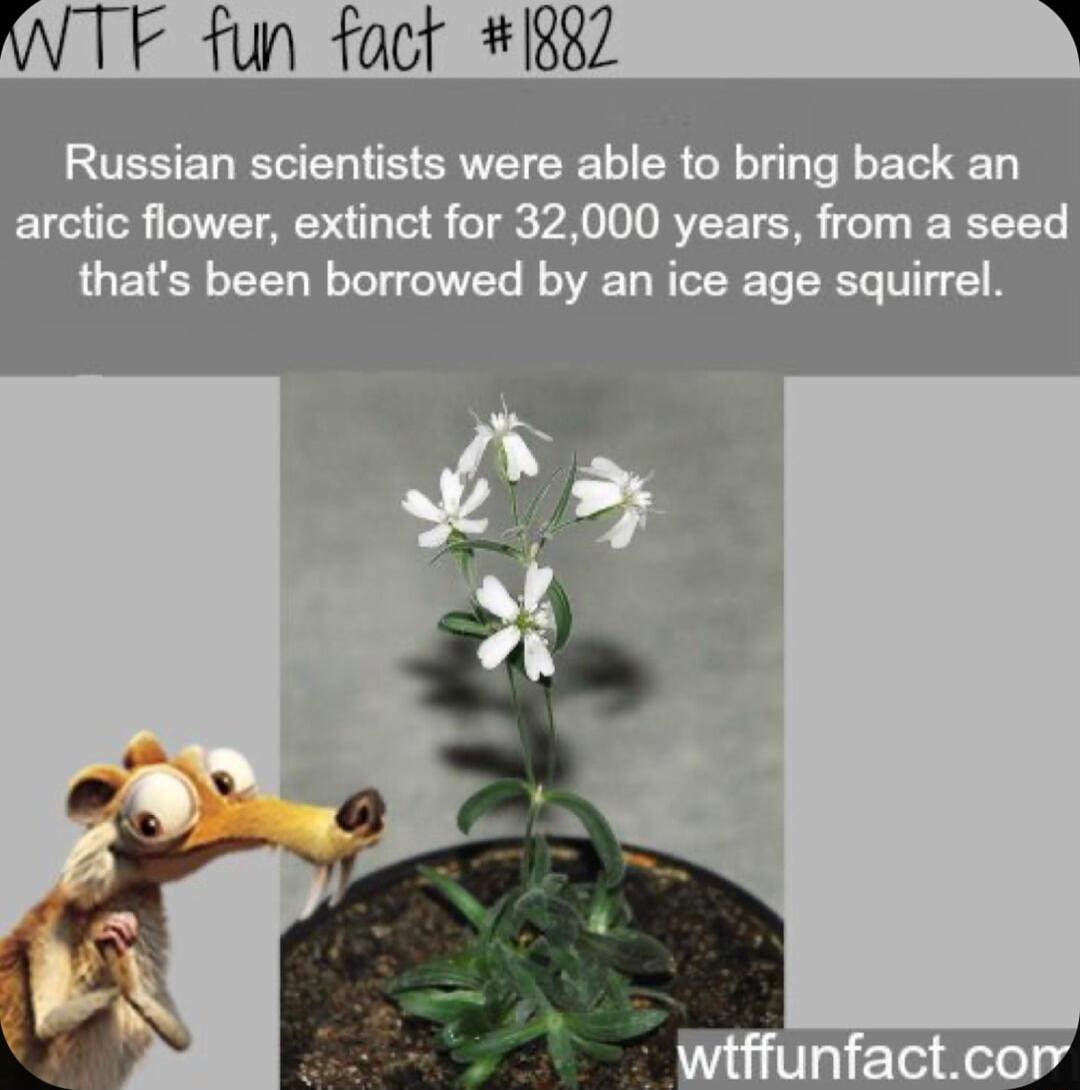 WTF fun fact 832