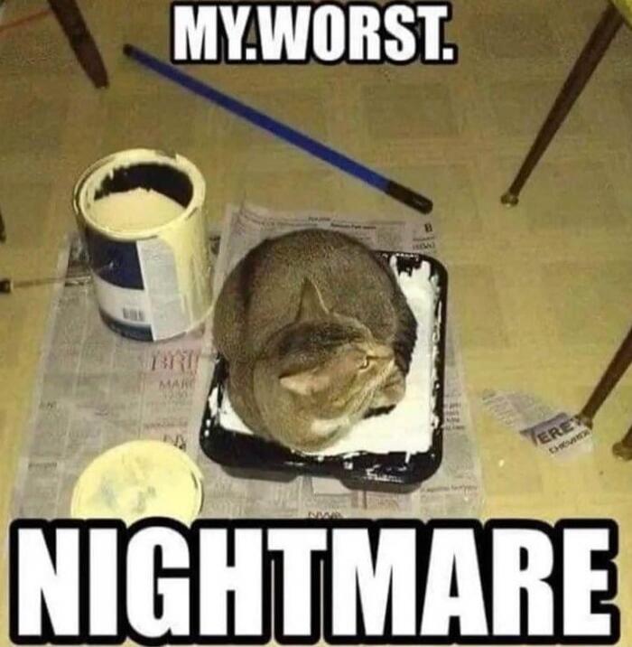 MY WORST NIGHTMARE