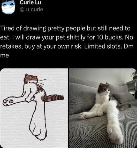 Curie Lu Tired of drawing pretty people but still need to eat will draw your pet shittily for 10 bucks No retakes buy at your own risk Limited slots Dm