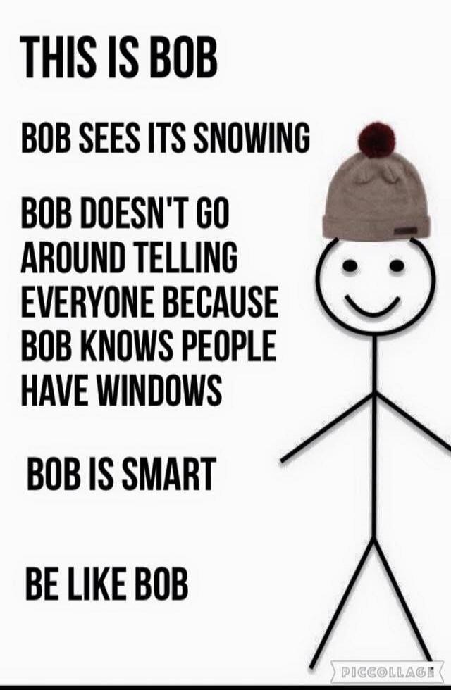 THIS IS BOB
BOB SEES ITS SNOWING
BOB DOESN'T GO AROUND TELLING EVERYONE BECAUSE BOB KNOWS PEOPLE HAVE WINDOWS
BOB IS SMART
BE LIKE BOB