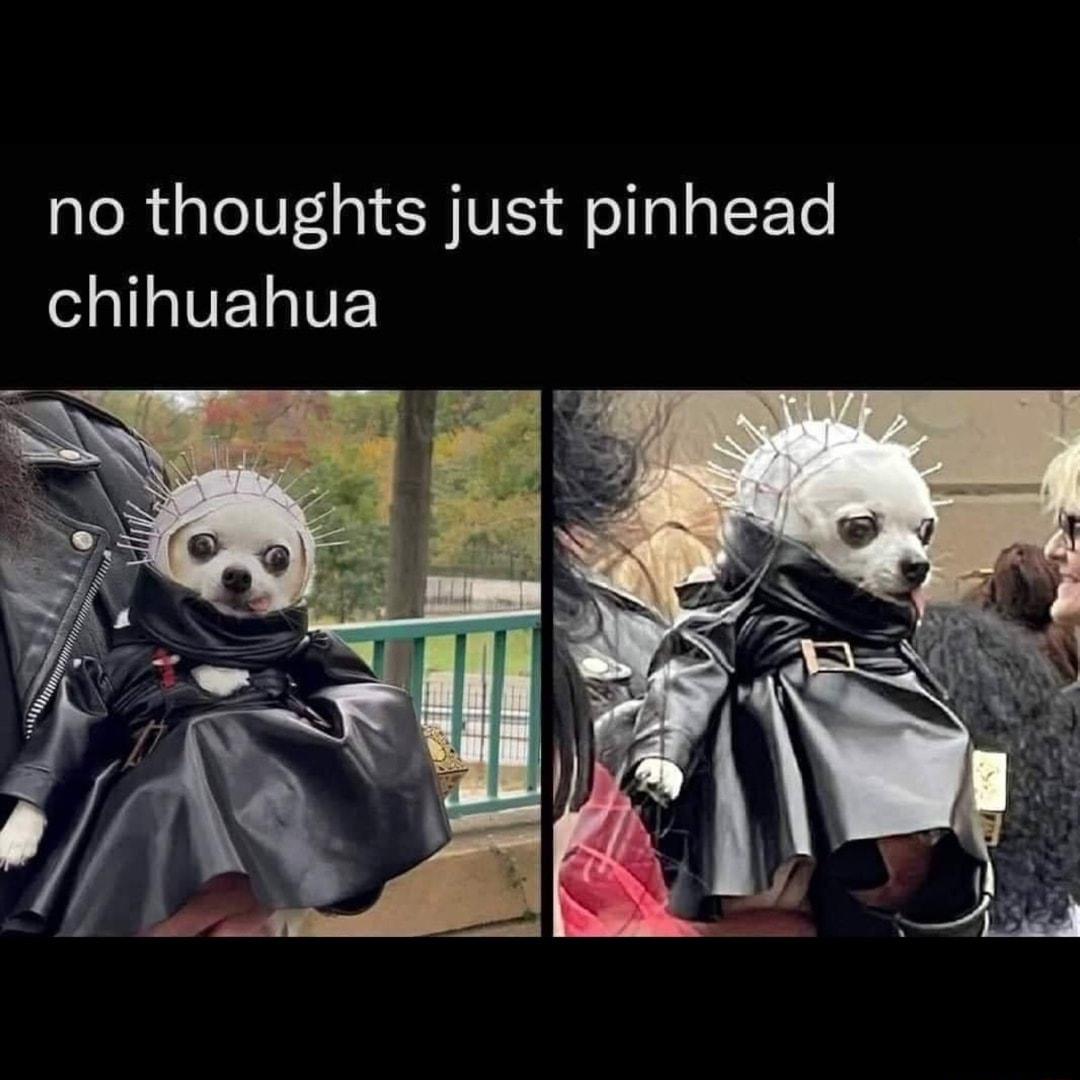 no thoughts just pinhead l l1sVETVE