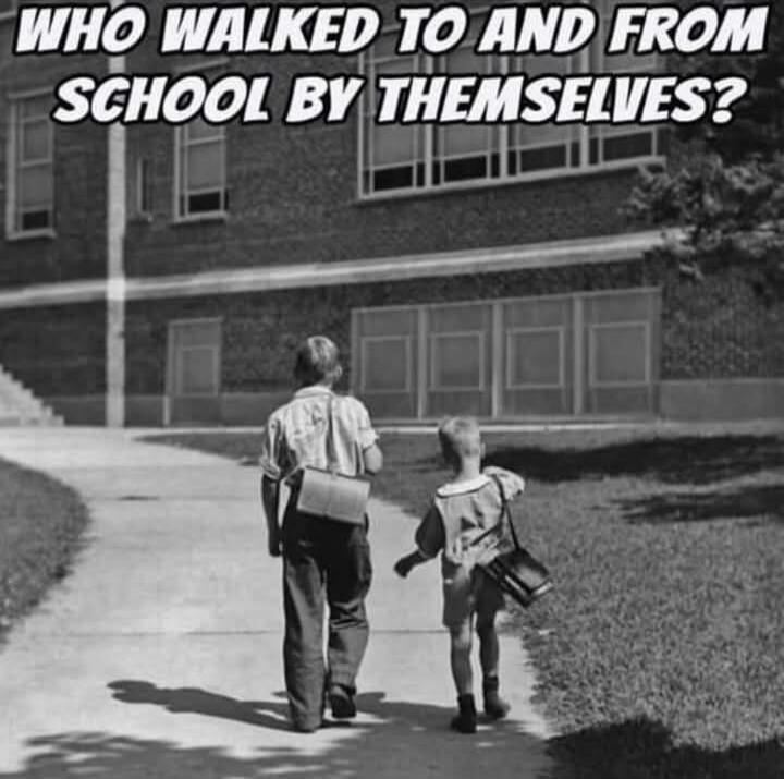 WHO WALKED TO AND FROM SCHOOL BY THEMSELVES?