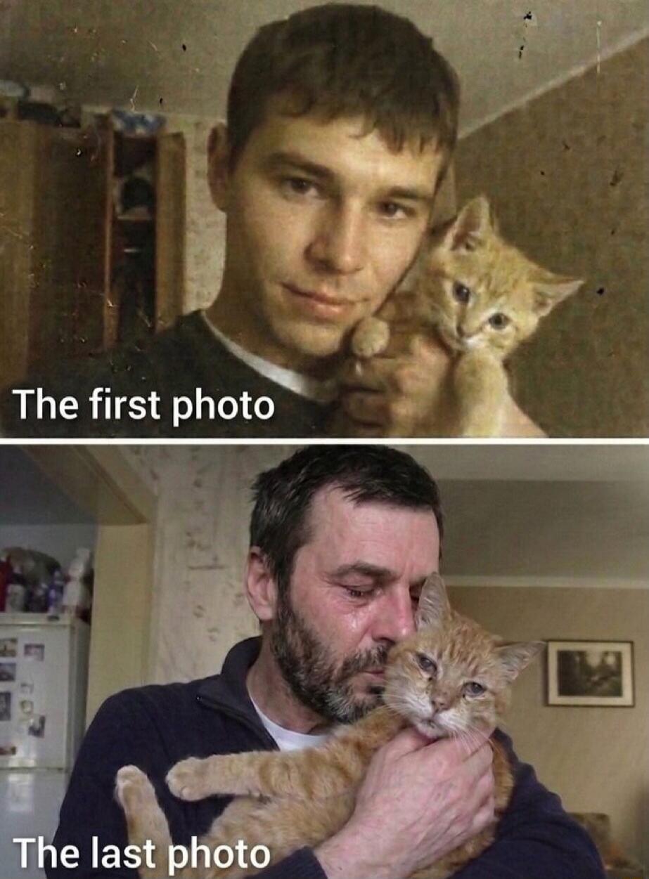The first photo. The last photo.