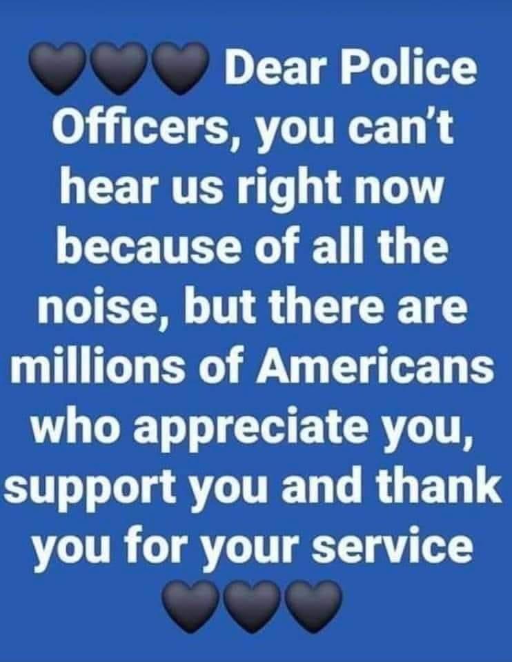 DLE gl o T 03 TR TR T GCETATER o 3 LT because of all the noise but there are millions of Americans WO IR CRYITR support you and thank you for your service