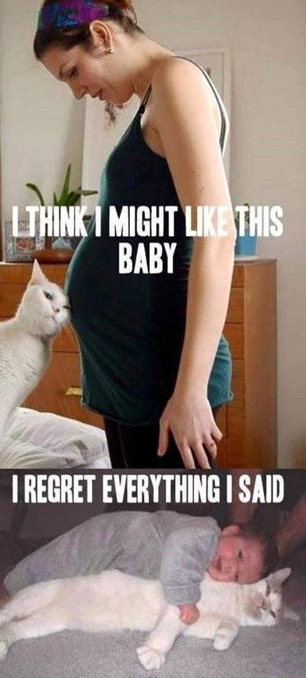 I think I might like this baby
I regret everything I said