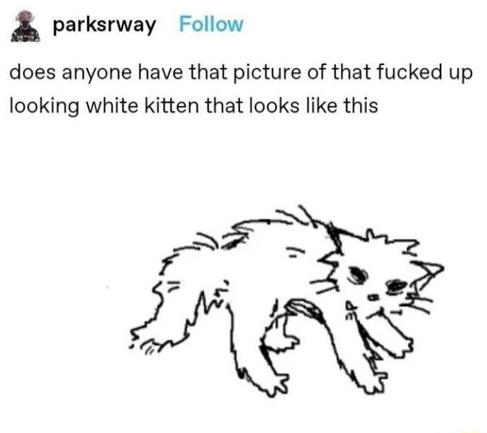 parksrway Follow does anyone have that picture of that fucked up looking white kitten that looks like this