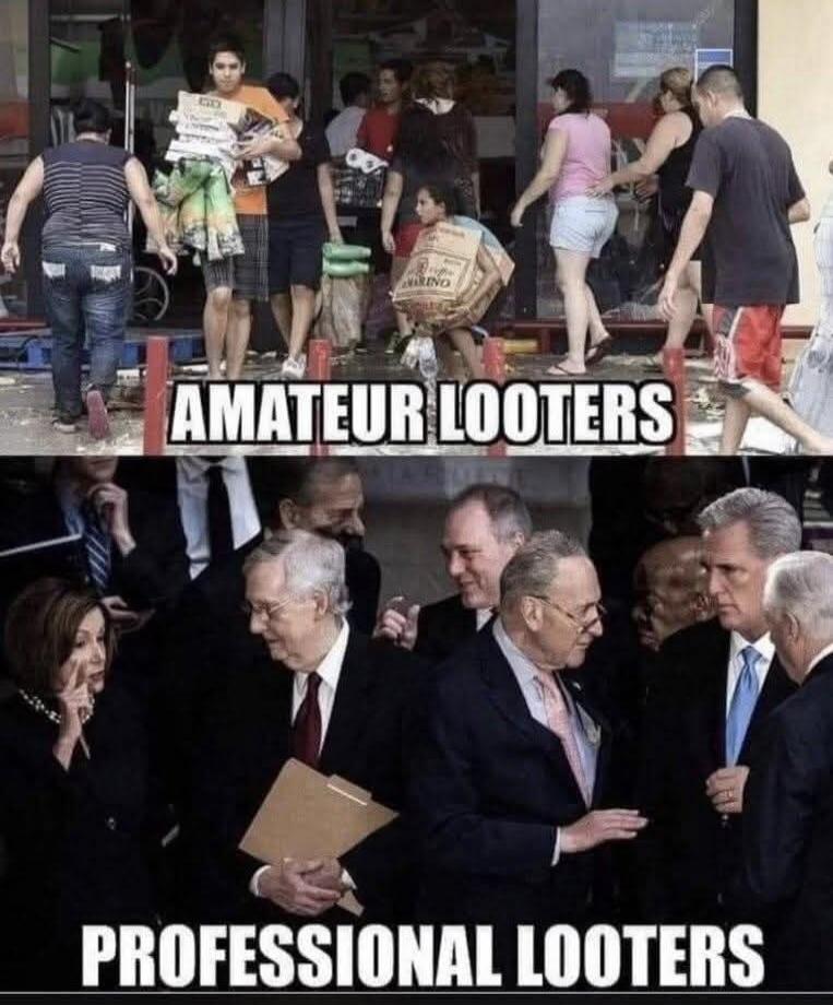 AMATEUR LOOTERS. PROFESSIONAL LOOTERS.