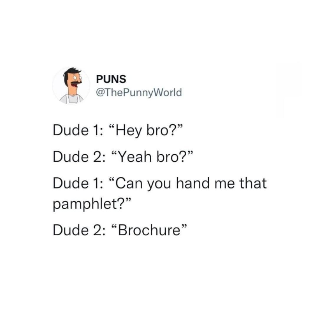 PUNS ThePunnyWorld Dude 1 Hey bro Dude 2 Yeah bro Dude 1 Can you hand me that pamphlet Dude 2 Brochure
