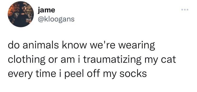 jame kloogans do animals know were wearing clothing or am i traumatizing my cat every time i peel off my socks