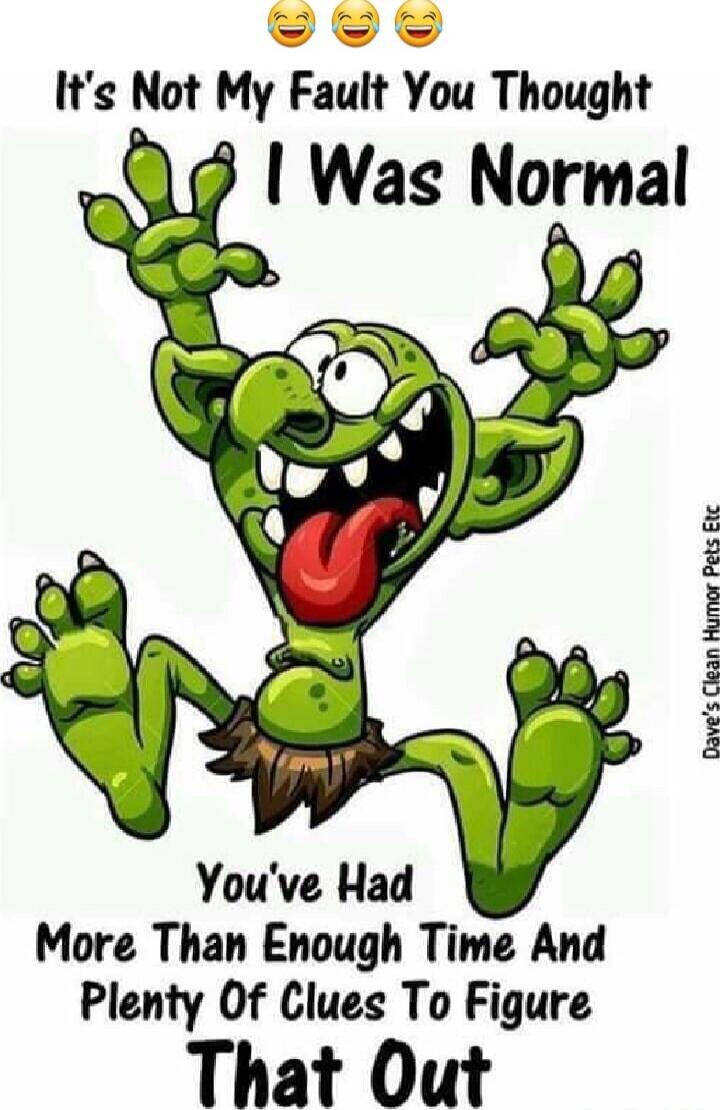 It's Not My Fault You Thought I Was Normal You've Had More Than Enough Time And Plenty Of Clues To Figure That Out