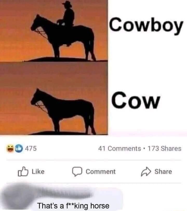 w0475 41 Comments 173 Shares oY Like comment Share Thats a fking horse