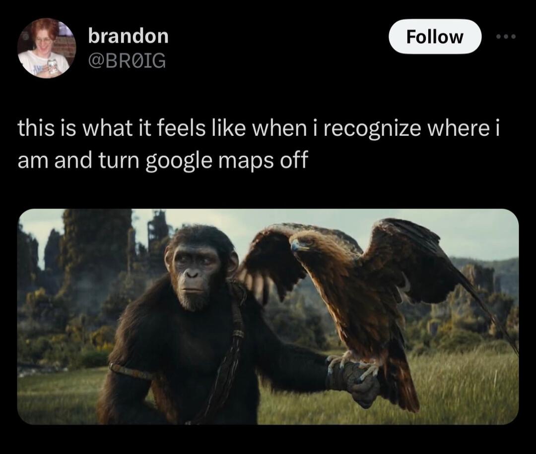 G e brandon Foliow this is what it feels like when i recognize where i am and turn google maps off