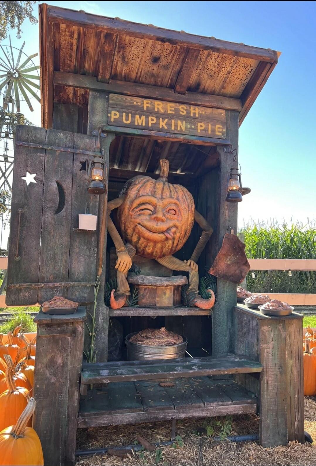 FRESH PUMPKIN PIE
